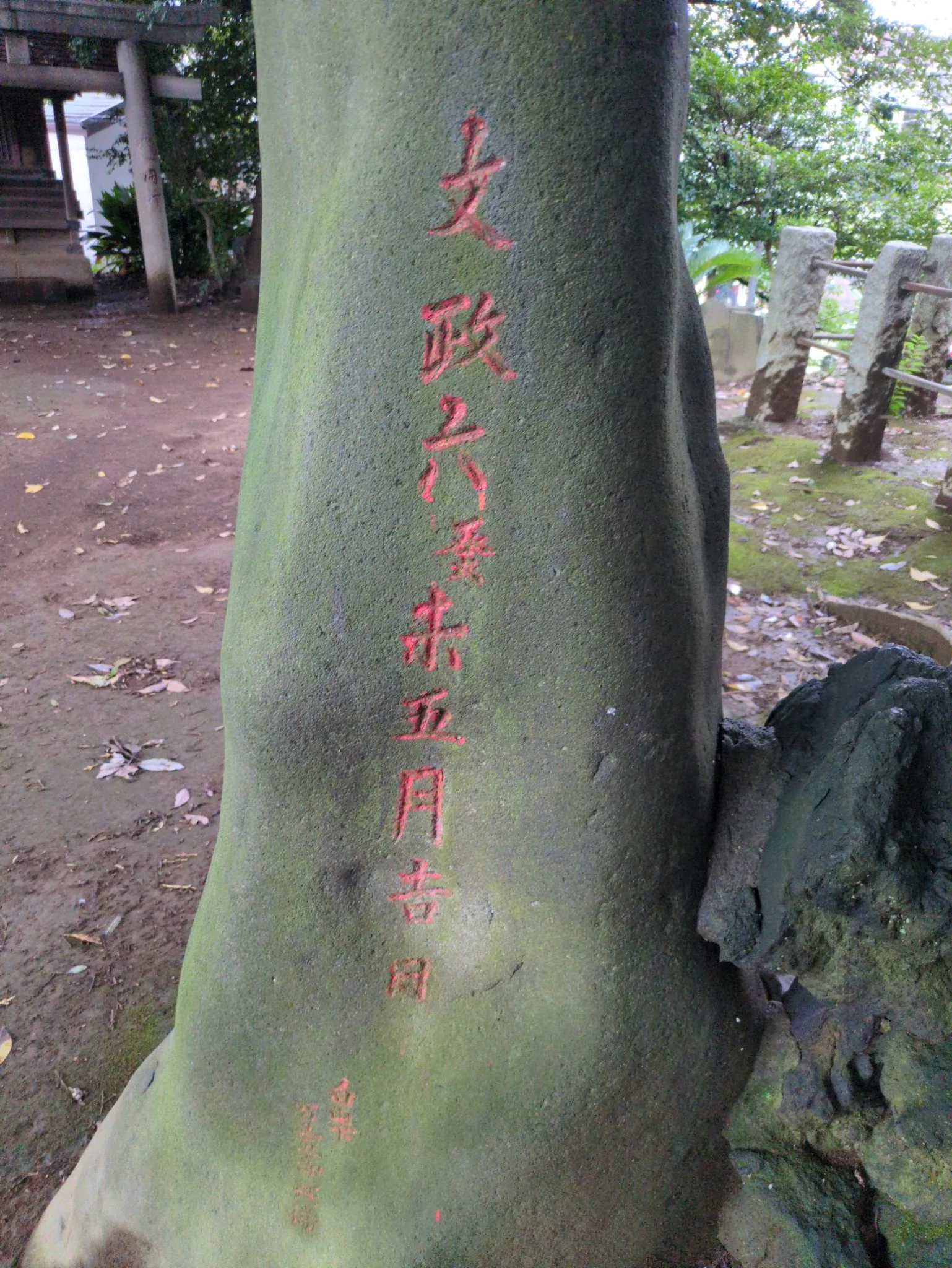 苔の乗った石柱。朱を入れた刻字で「文政六癸未五月吉日」と縦に読める