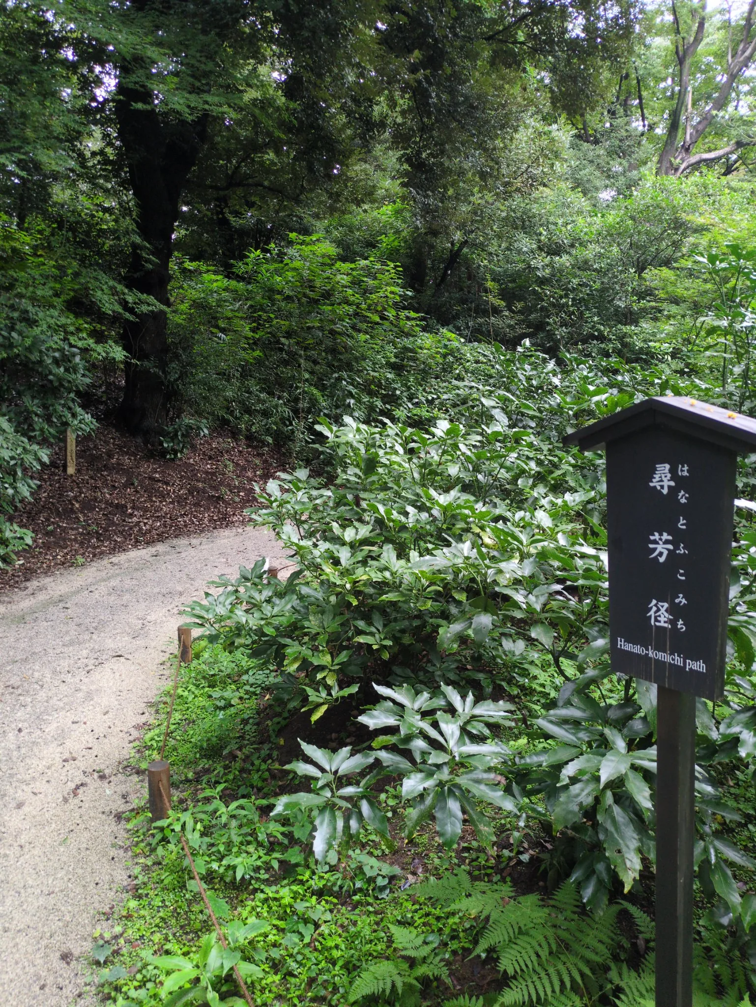 尋芳径と書かれた黒い木の標柱が手前に大きく立ち、左奥の落ち葉の道ばたに同じ形の細い石柱が小さく写っている